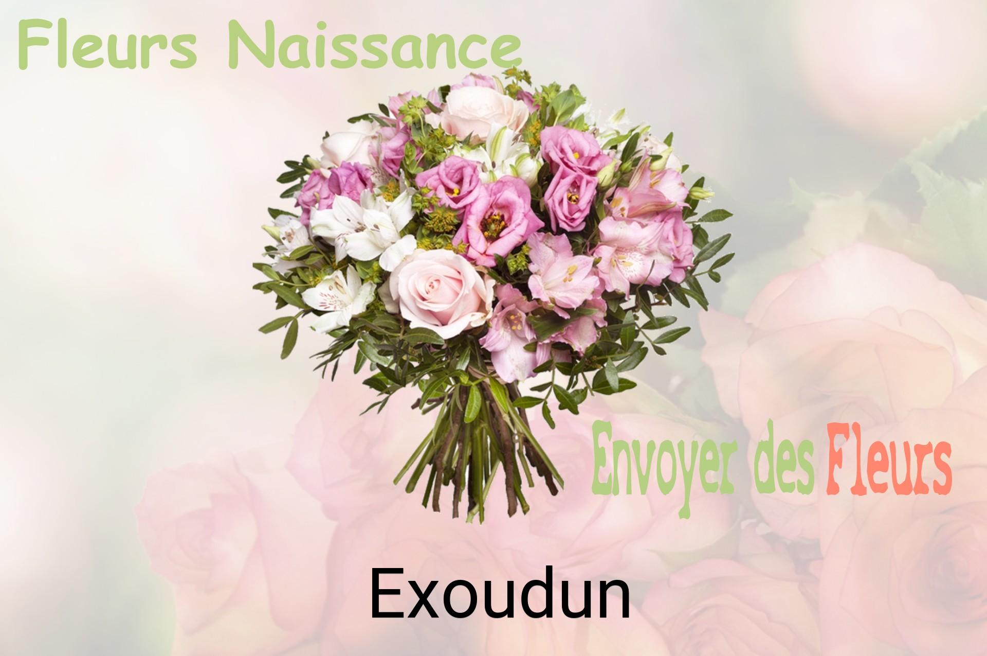 Bouquet de fleurs de naissance livré à Exoudun
